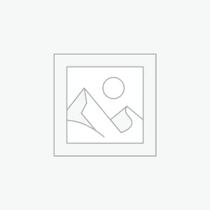 Delicate Drop Earrings